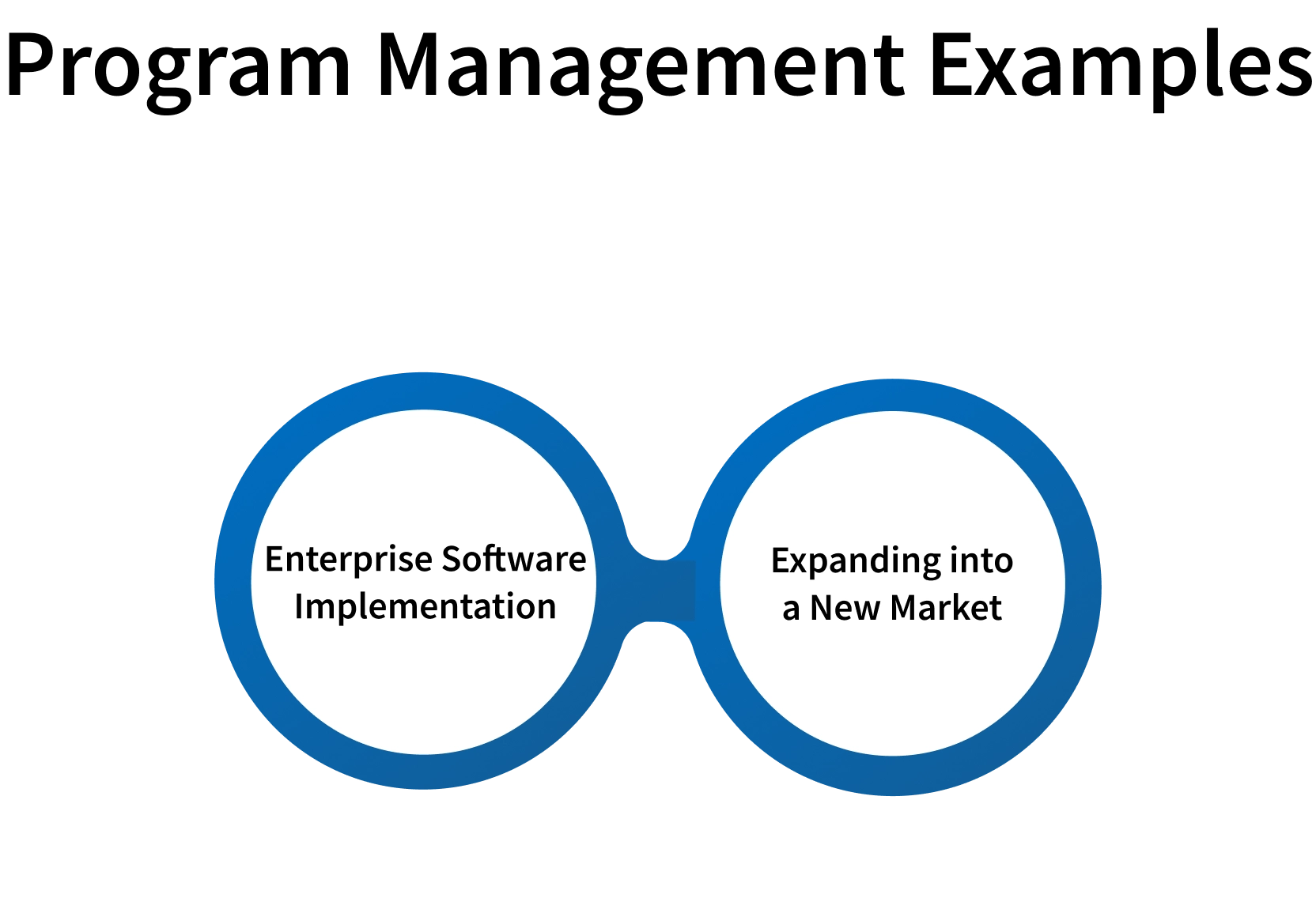 program management examples