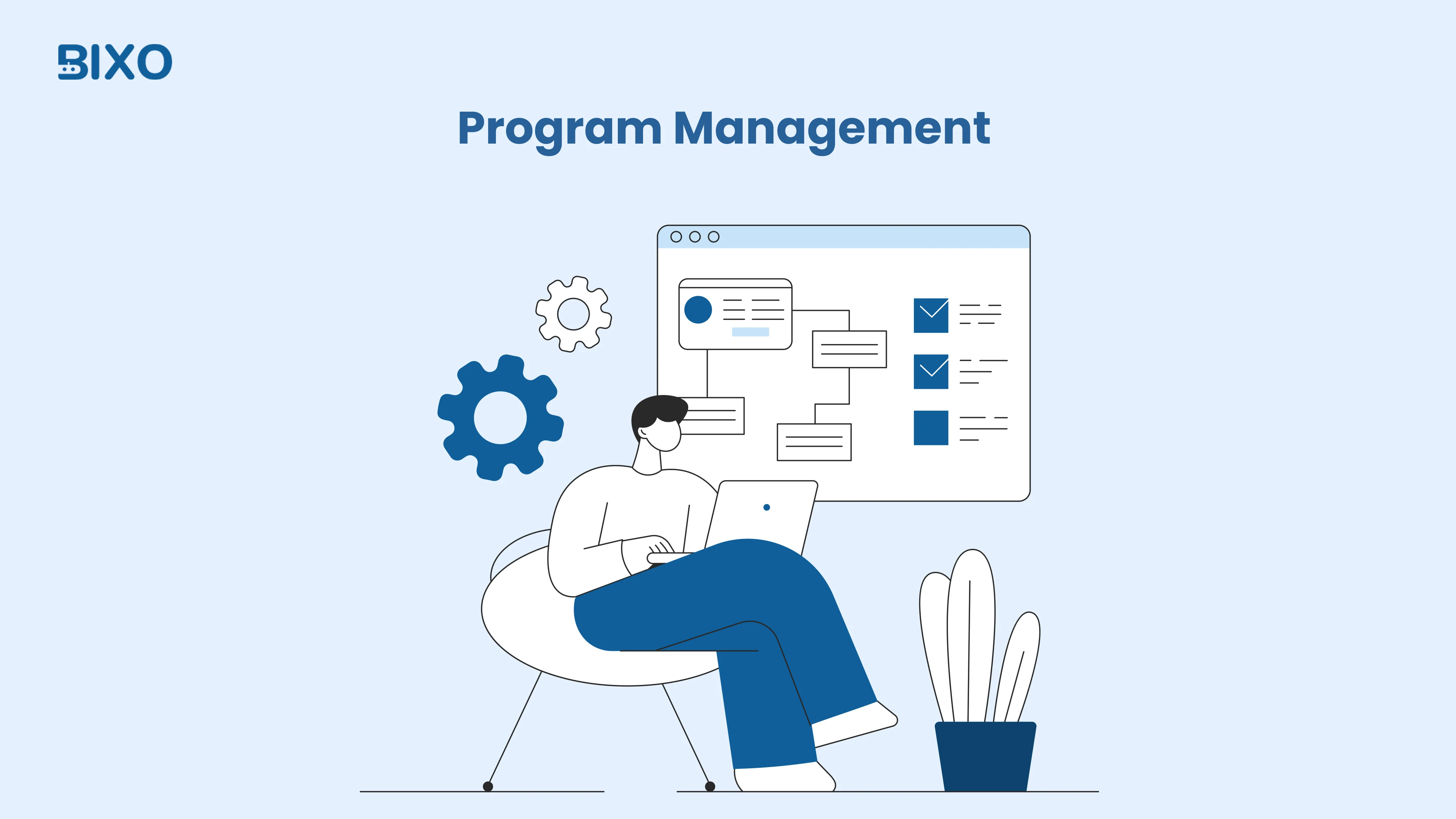 program management