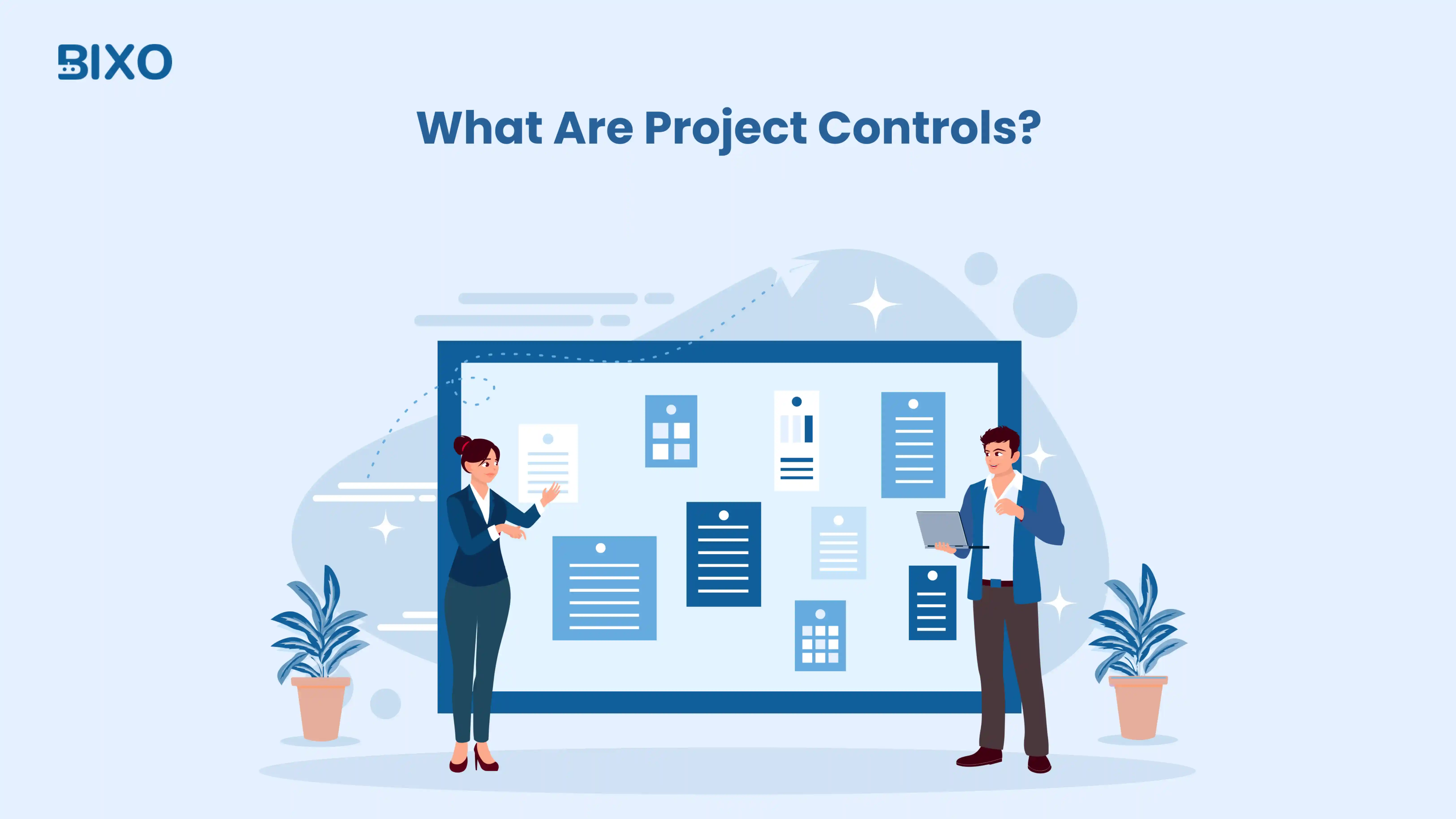 project controls