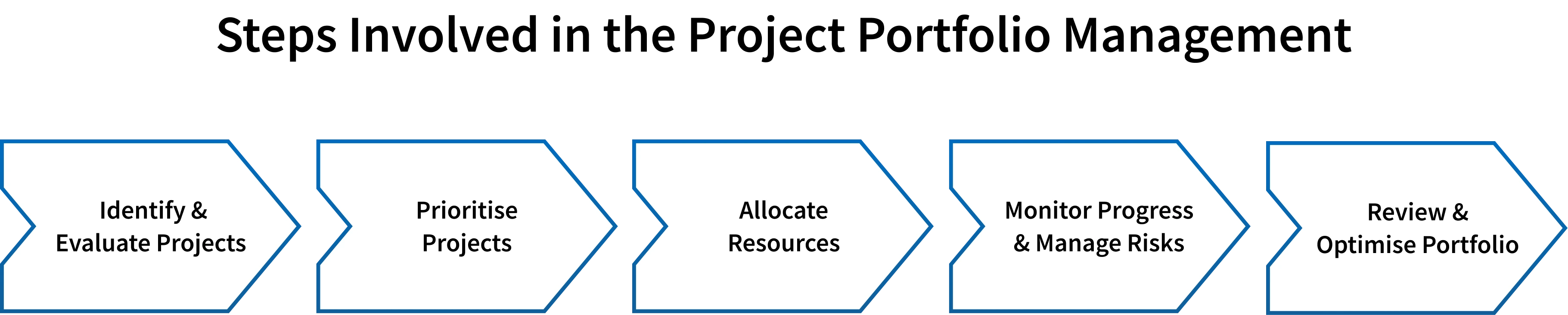 project portfolio management process