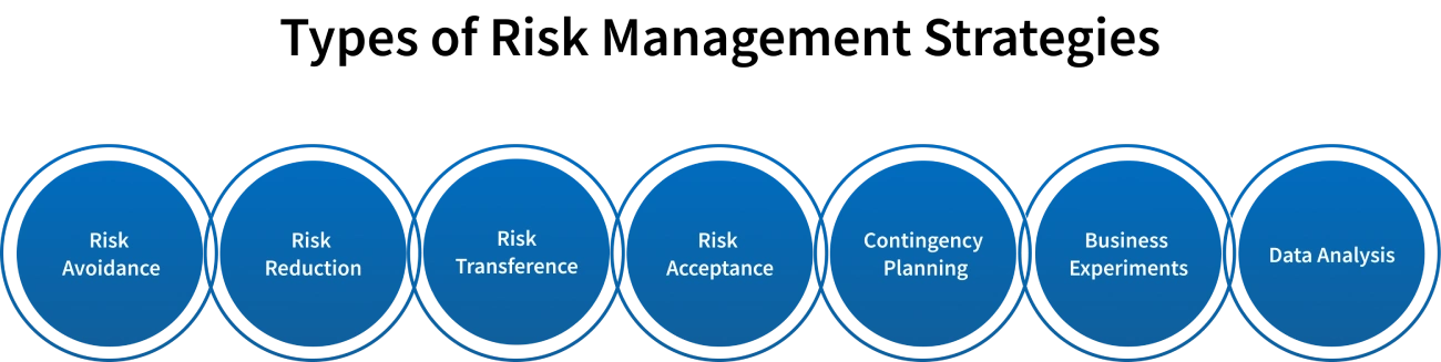 types of risk management strategies