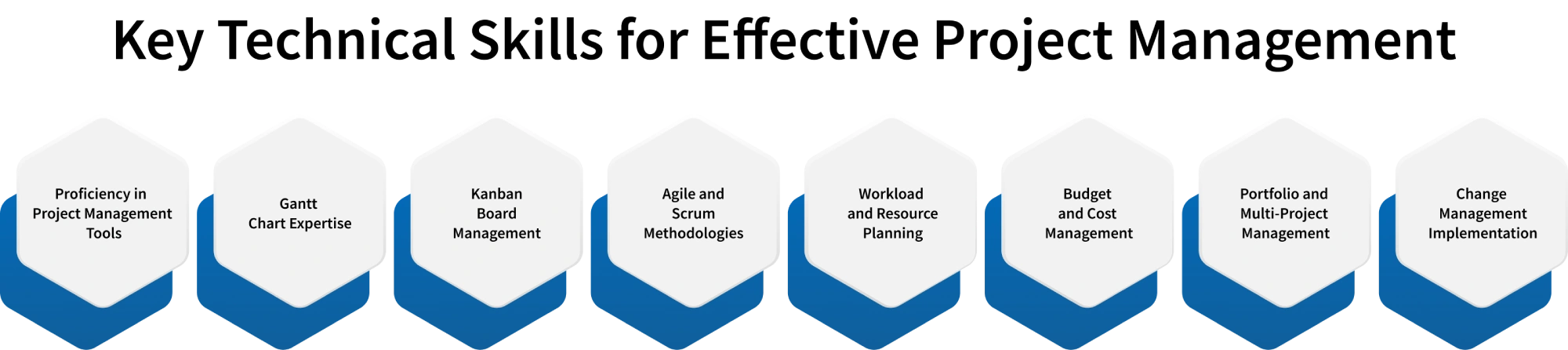 technical skills in project management